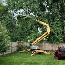 Mechanicsville, VA Tree Removal and Landscaping Services Company